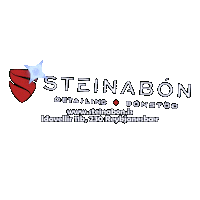 steinabon cardetailing steinabon cardetailingcompany cardetailers Sticker