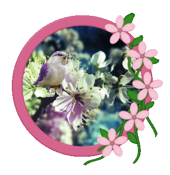 Spring Break Sticker