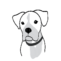 DapperDandelion dapper dandelion Sticker