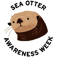 Sea Otter Love Sticker by Monterey Bay Aquarium