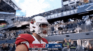 Arizona Cardinals Football GIF by NFL