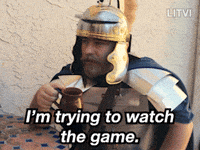 CamLitvi sports football game tv GIF