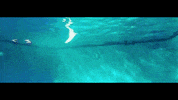 gigi hadid GIF by Columbia Records