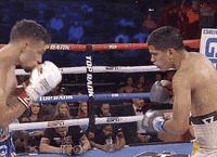 toprank fight fighting espn fighters GIF