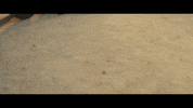 Time Machine GIF by Daisy The Great