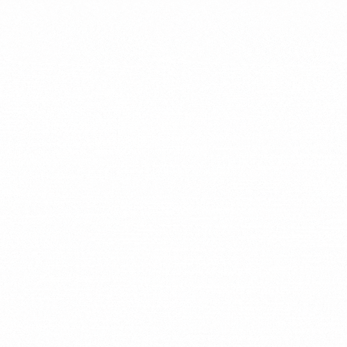 goldeneaglepetfoods giphyupload GIF
