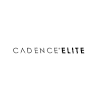 Top Producer Sticker by Cadence