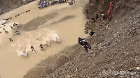 like a boss win GIF by Red Bull
