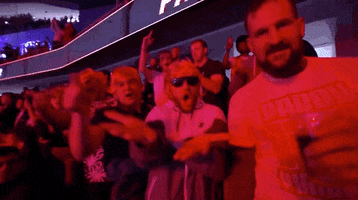 Sport GIF by UFC