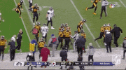 Pittsburgh Steelers Football GIF by NFL