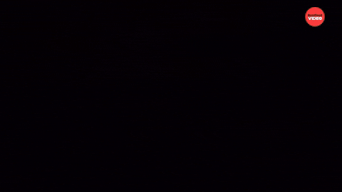 Halloween GIF by BuzzFeed
