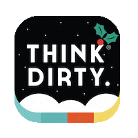 Christmas Holiday Sticker by Think Dirty
