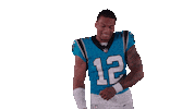 National Football League Dance Sticker by Carolina Panthers