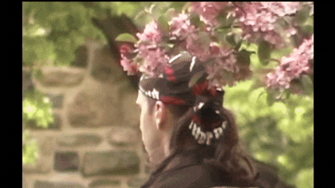 Book GIF by Jerry Tremblay