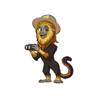 Tamarin Monkey Sticker by Santa Ana Parks