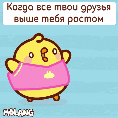 GIF by Molang.Official