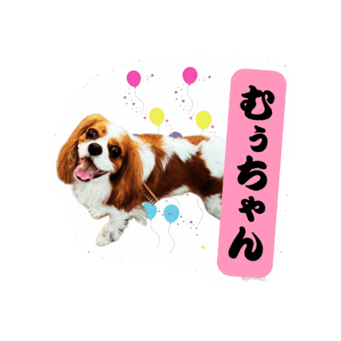 Cavalierkingcharlesspaniel Sticker