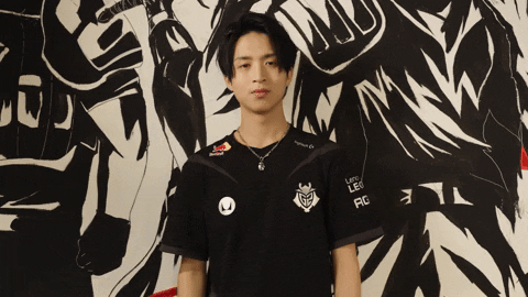 League Of Legends Lol GIF by G2 Esports