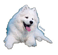 Evolve Shiba Inu Sticker by Adulting with Joyce Pring