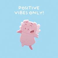 Happy Flying Pig GIF by PositivelyPigasus