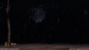 storm electricity GIF by Moomin Official
