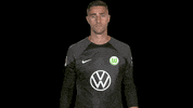 Oh No Bundesliga GIF by VfL Wolfsburg