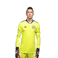 Euro 2020 Football Sticker by UEFA