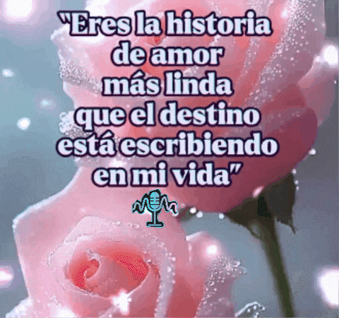 De Amor Rosa GIF by Murcianys LLC