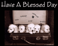 soblessed GIF