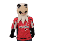 Ice Hockey Thumbs Up Sticker by NHL