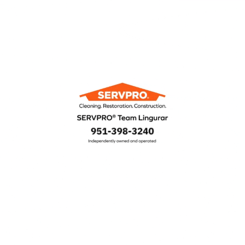 Servpro10100 giphyupload servpro GIF