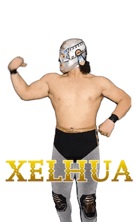 Lucha Libre Wwe Sticker by FilmmakerLife