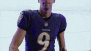 Football Celebrate GIF by Baltimore Ravens
