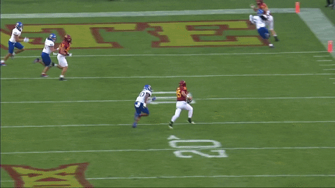 DBSports giphygifmaker GIF