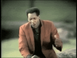 otis live GIF by Otis Redding