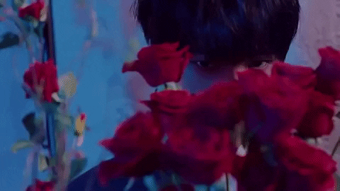 K Pop Alligator GIF by Monsta X