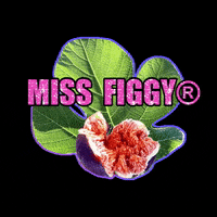 Fig GIF by Efecantarim