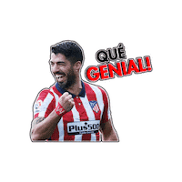 Car Wash Futbol Sticker by Alvato Luxury Detailing
