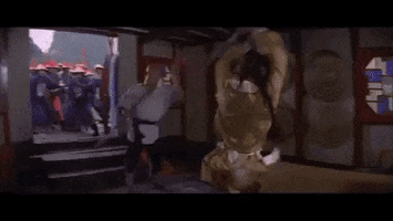 kung fu GIF by Shaw Brothers
