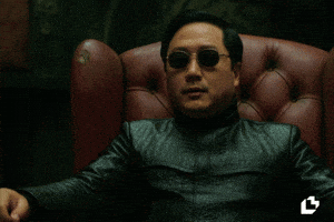 Confused Kung Fu GIF by LitVM