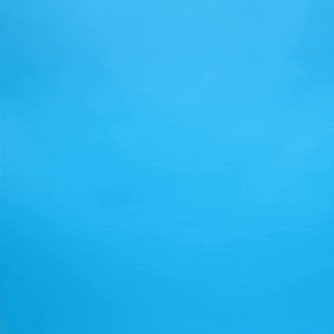 Soccer No GIF by Charlotte FC