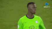 Premier League Football GIF by MolaTV