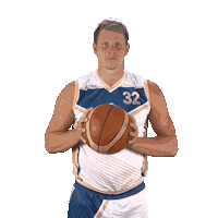 Basketball Lukas Sticker by Levharti