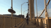 iqontv GIF by Senque