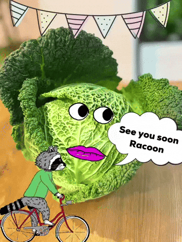 Bye Bye Racoon GIF