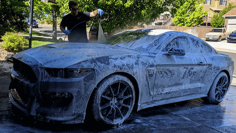 ColoradoCarsAndCoffee giphyupload carwash shelby gt350 GIF