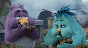 nuts eating GIF by Angry Birds
