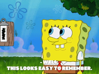 season 8 episode 13 GIF by SpongeBob SquarePants