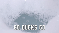 Go Ducks Go