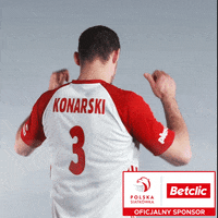 Volleyball Poland GIF by Betclic Polska